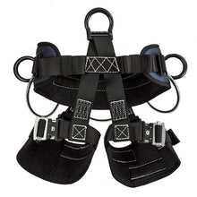 Load image into Gallery viewer, RNR Patriot Full Body Harness
