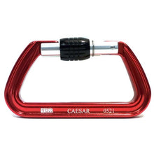 Load image into Gallery viewer, RNR Caesar Screw-Lock Carabiner