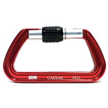 Load image into Gallery viewer, RNR Caesar Screw-Lock Carabiner
