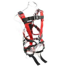Load image into Gallery viewer, RNR Born Body ANSI Harness