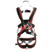 Load image into Gallery viewer, RNR Born Body ANSI Harness