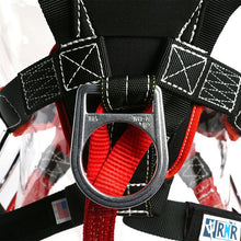 Load image into Gallery viewer, RNR Born Body ANSI Harness