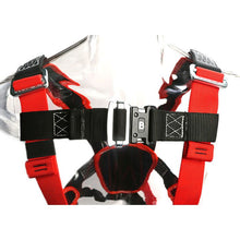 Load image into Gallery viewer, RNR Born Body ANSI Harness