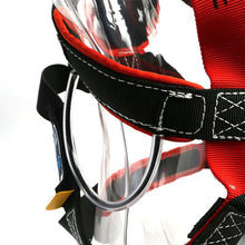 Load image into Gallery viewer, RNR Born Body ANSI Harness